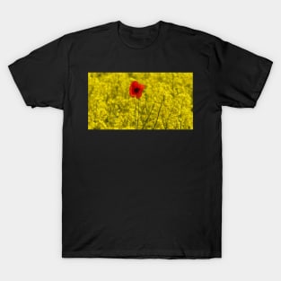 single red poppy in a field of yellow flowers T-Shirt